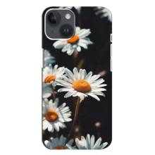 Чохол з ромашками на iPhone 14 Plus (Білі ромашки)