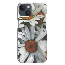 Чохол з ромашками на iPhone 14 Plus (Квіти Ромашки)
