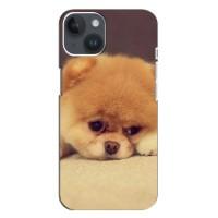 Чехол (ТПУ) Милые собачки для iPhone 14 Plus (Померанский шпиц)