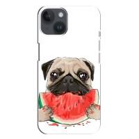 Чехол (ТПУ) Милые собачки для iPhone 14 Plus (Смешной Мопс)