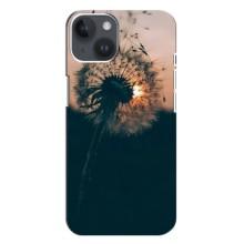 Силиконовый Чехол с одуванчиками на iPhone 14 Plus (Красивый одуванчик)