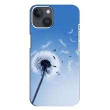 Силиконовый Чехол с одуванчиками на iPhone 14 Plus (Одуванчик на голубом)