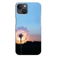 Силиконовый Чехол с одуванчиками на iPhone 14 Plus (Закат с одуванчиком)