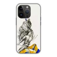 Чохли (Доброго вечора, ми за України) для Епл 14 Про Макс (AlphaPrint) (Перемога)