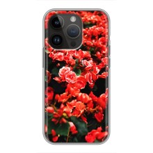 Чехлы с Цветами для iPhone 14 Pro Max (VPrint) (Цветы красные)