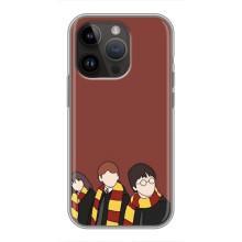 Чехлы с Гарри Поттером для iPhone 14 Pro Max (AlphaPrint)