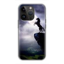 Чохли з зображенням різних тварин на iPhone 14 Pro Max (Кінь)