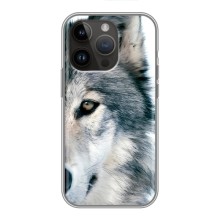 Чехлы с картинками животных iPhone 14 Pro Max (Волк)