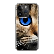 Чехлы с Котиками для iPhone 14 Pro Max (VPrint) (Глаз кота)