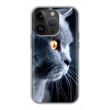 Чехлы с Котиками для iPhone 14 Pro Max (VPrint) (Серый Кот)