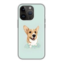 Чехлы с собаками для iPhone 14 Pro Max (VPrint) (Корги)