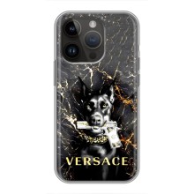 Чехлы VERSACE для Айфон 14 Про Макс (PREMIUMPrint) (AlphaPrint-ген.)