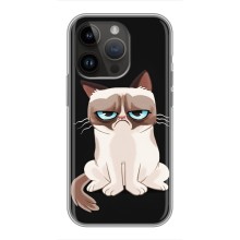 Чехол с принтом для iPhone 14 Pro Max (AlphaPrint) Модные коты – Грустный кот