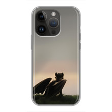 Чехол как приручить дракона на iPhone 14 Pro Max (Беззубик)