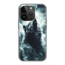 Чехол с картинкой «Хищники» для iPhone 14 Pro Max