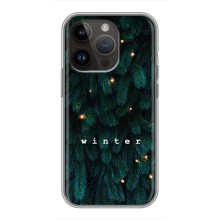 Новогодние, Праздничные Чехлы для iPhone 14 Pro Max - 2024 год (Winter)