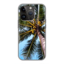 Силиконовый чехол с КАРТИНКАМИ лето для iPhone 14 Pro Max (AlphaPrint) (Пальма)
