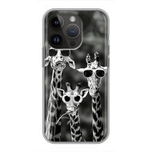 Силиконовый чехол с КАРТИНКАМИ лето для iPhone 14 Pro Max (AlphaPrint) (Жирафы в очках)