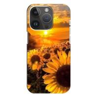 Чохол з Квітами для iPhone 14 Pro Max (поле соняшників)