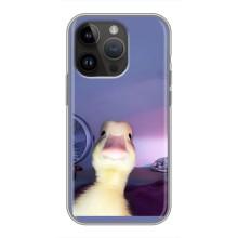 Бампер з принтом Меми для iPhone 14 Pro (Качка)