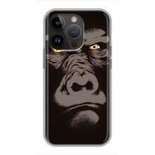 Чохли з Горилою на Айфон 14 Про (Горила)