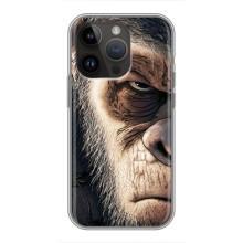 Чохли з Горилою на Айфон 14 Про (Суворий)