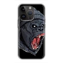 Чохли з Горилою на Айфон 14 Про (Зла Мавпа)
