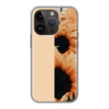 Чохли з картинкою Соняшників для Айфон 14 Про (Гарні соняшники)