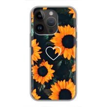 Чохли з картинкою Соняшників для Айфон 14 Про (Сердчеко в соняшниках)