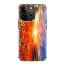 Чохли з картинкою (Тюльпани) на Айфон 14 Про (Поле тюльпанів)