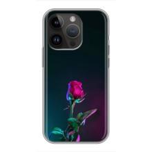 Чохли з принтом Троянд для iPhone 14 Pro (Нічна троянда)