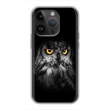 Чохли з принтом СОВИ для iPhone 14 Pro (Сова на чорному)