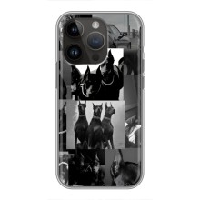 Чехол ДОБЕРМАН для iPhone 14 Pro (Коллаж Доберман)