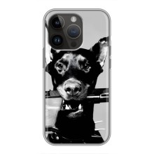 Чехол ДОБЕРМАН для iPhone 14 Pro (Опасный доберман)