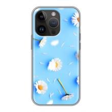 Чехол с Цветами для iPhone 14 Pro (ромашки на голубом)