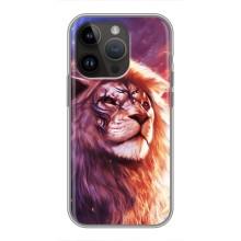 Чохол з картинкою на iPhone 14 Pro (Кольоровий ЛЕВ)
