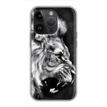 Чохол з картинкою на iPhone 14 Pro (Злий Лев)