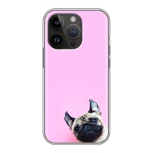 Бампер для iPhone 14 Pro с картинкой "Песики" (Собака на розовом)