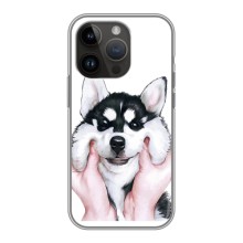 Бампер для iPhone 14 Pro с картинкой "Песики" (Собака Хаски)