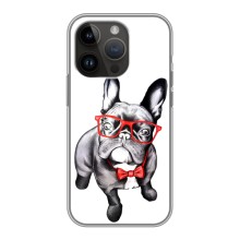 Бампер для iPhone 14 Pro с картинкой "Песики" (В очках)