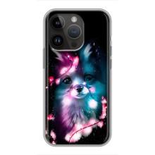 Чохол з Лисичкою для iPhone 14 Pro (Чорна лисиця)