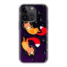 Чохол з Лисичкою для iPhone 14 Pro (Лисиці)