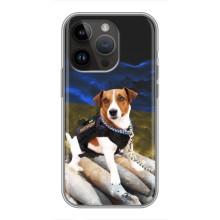 Чохол з принтом Песика Патрон для iPhone 14 Pro (Пес Патрон)