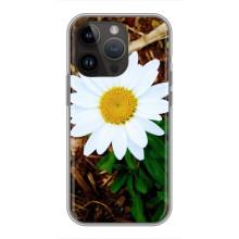 Чохол з ромашками на iPhone 14 Pro (Біла ромашка)