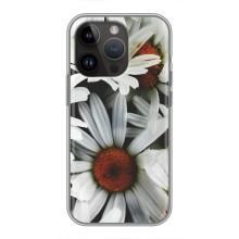 Чохол з ромашками на iPhone 14 Pro (Квіти Ромашки)