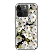 Чохол з ромашками на iPhone 14 Pro (Рамка в ромашках)