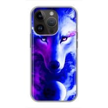Чохол з Вовком на iPhone 14 Pro (Арт-Вовк)