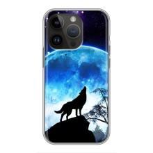 Чохол з Вовком на iPhone 14 Pro (Виє на місяць)