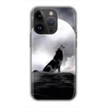 Чохол з Вовком на iPhone 14 Pro (Вовк і місяць)