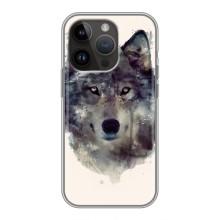 Чохол з Вовком на iPhone 14 Pro (Вовк)